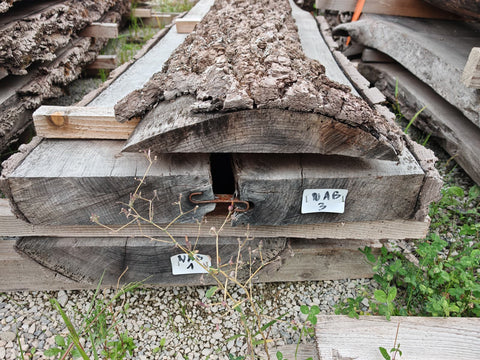 PLOT - NAB - Noyer américain Bastogne - 2 plateaux