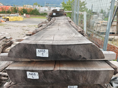 PLOT - NABB - Noyer américain Bastogne - 2 plateaux