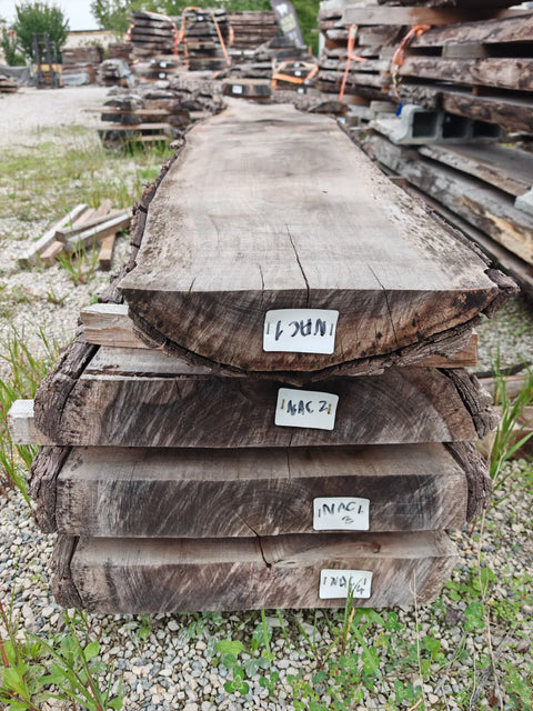 PLOT - NAC - Noyer américain Claro - 4 plateaux