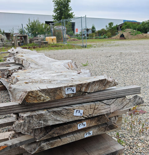 PLOT - P3 - Loupe de Peuplier Noir - 4 plateaux