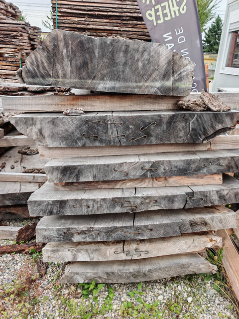 PLOT - TGFNC - Frêne noir du Canada - 7 plateaux