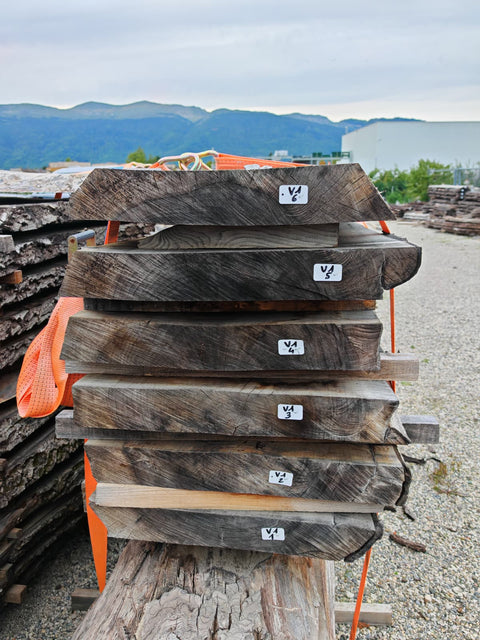 PLOT - V1 - Noyer de Virginie - 6 plateaux