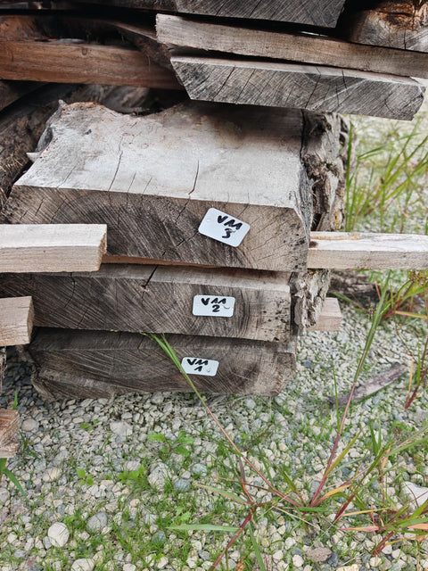 PLOT - V11 - Noyer de Virginie - 3 plateaux