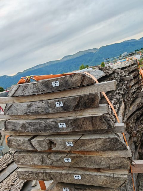 PLOT - V16 - Noyer de Virginie - 6 plateaux