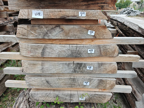 PLOT - V18 - Noyer de Virginie - 6 plateaux