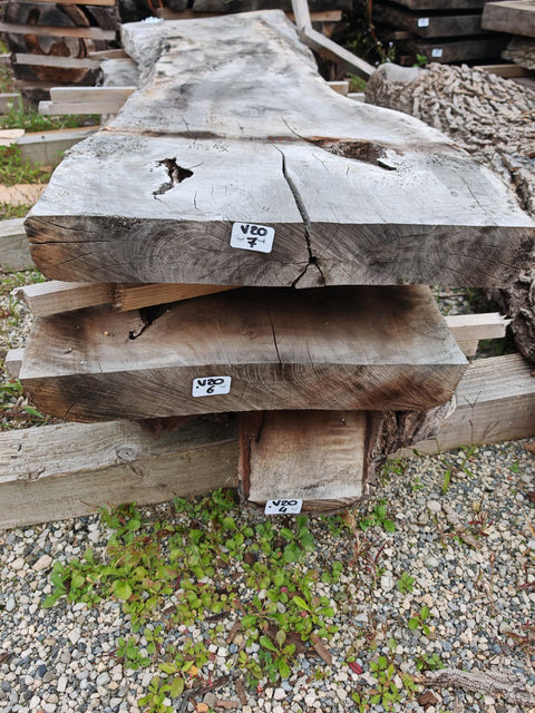 PLOT - V20 - Noyer de Virginie - 2 plateaux