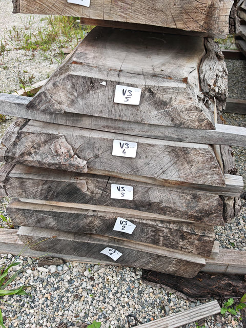 PLOT - V3 - Noyer de Virginie - 5 plateaux