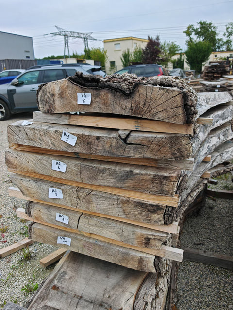 PLOT - V4 - Noyer de Virginie - 6 plateaux