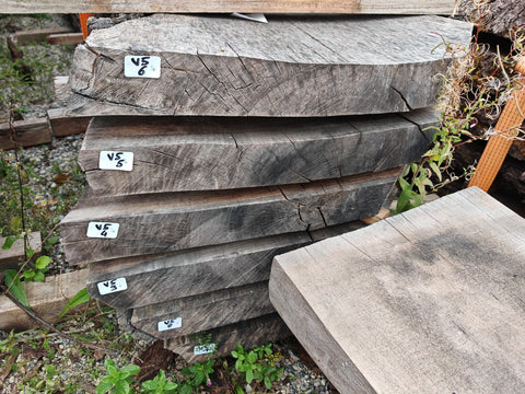 PLOT - V5 - Noyer de Virginie - 6 plateaux