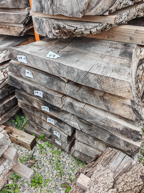 PLOT - V7 - Noyer de Virginie - 7 plateaux