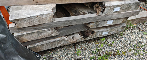 PLOT - BLPN - Loupe de Peuplier Noir - 3 plateaux