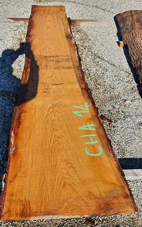 Chêne américain des Monts Ozark - CHA 14 - Mon plateau de bois
