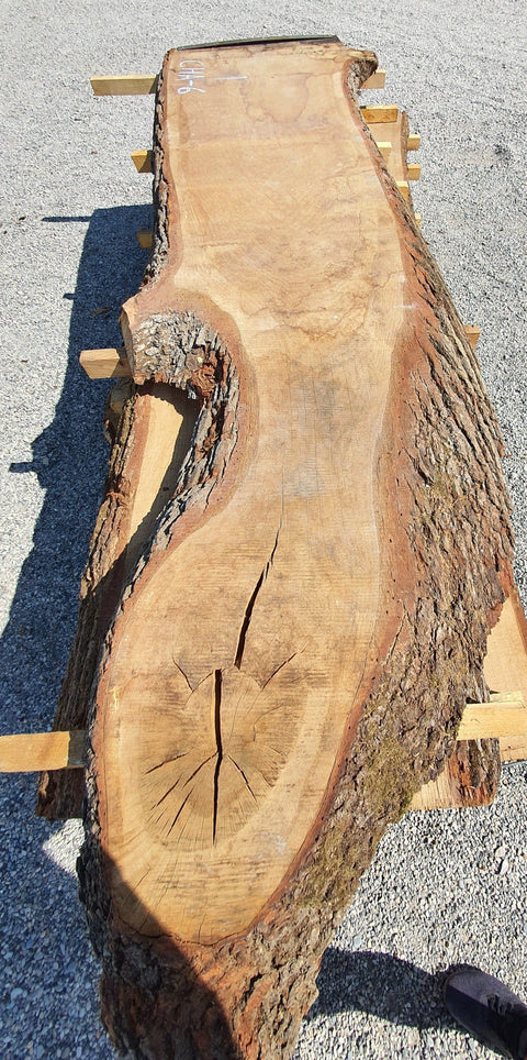 Chêne américain des Monts Ozark - CHA 6 - Mon plateau de bois