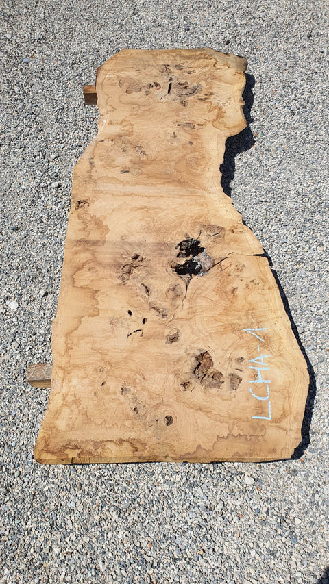 Chêne américain loupe - LCHA 1 - Mon plateau de bois
