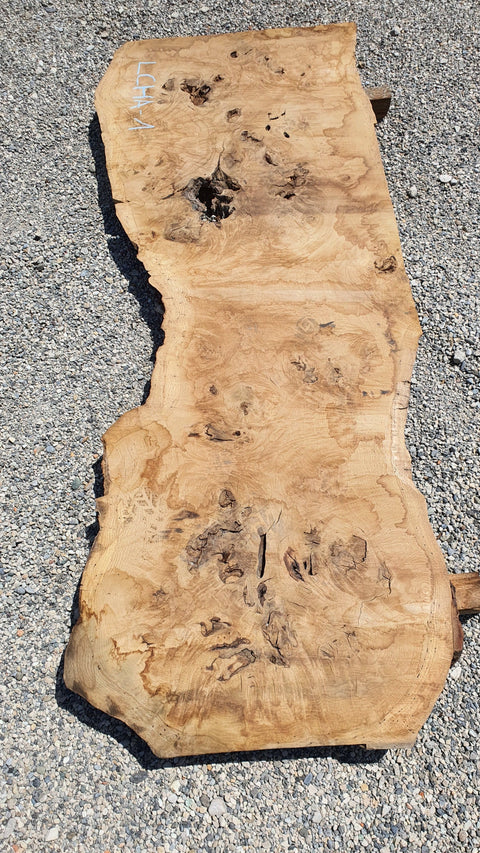 Chêne américain loupe - LCHA 1 - Mon plateau de bois