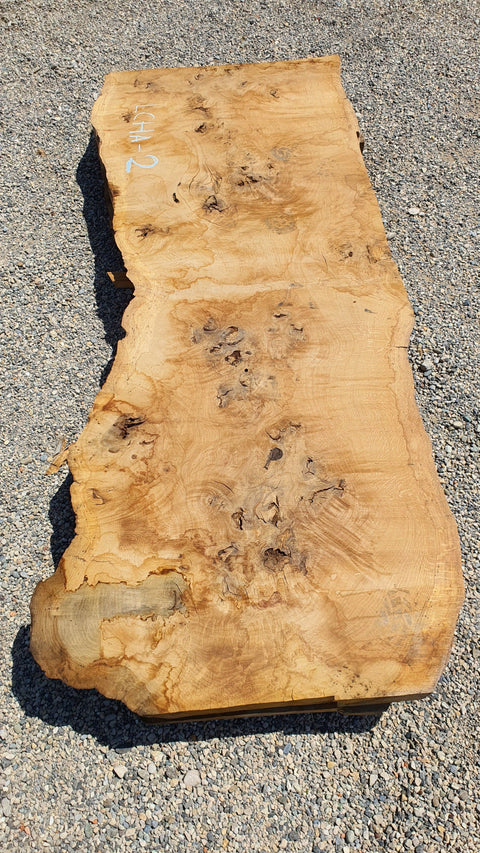 Chêne américain loupe - LCHA 2 - Mon plateau de bois