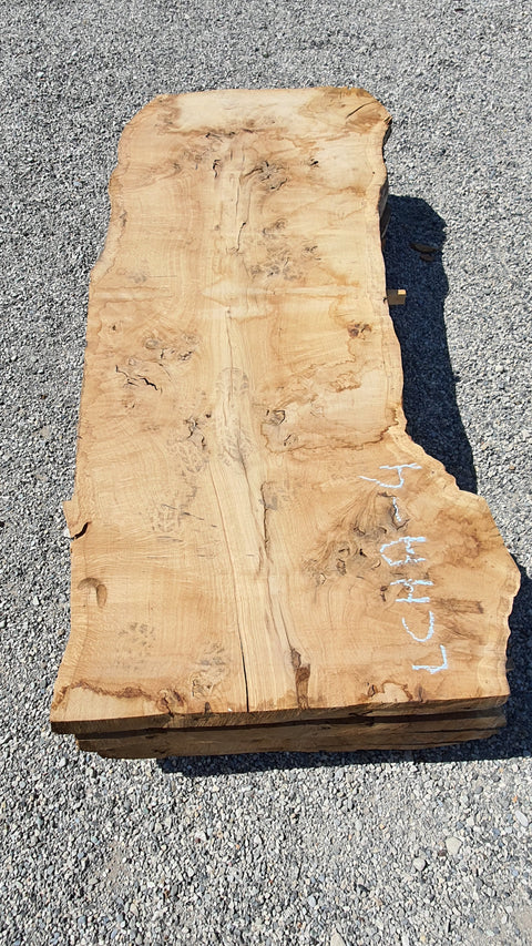 Chêne américain loupe - LCHA 4 - Mon plateau de bois
