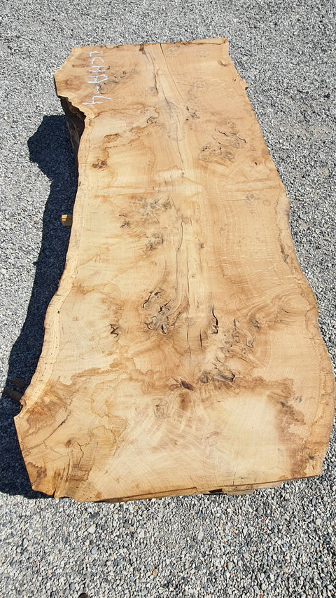 Chêne américain loupe - LCHA 4 - Mon plateau de bois