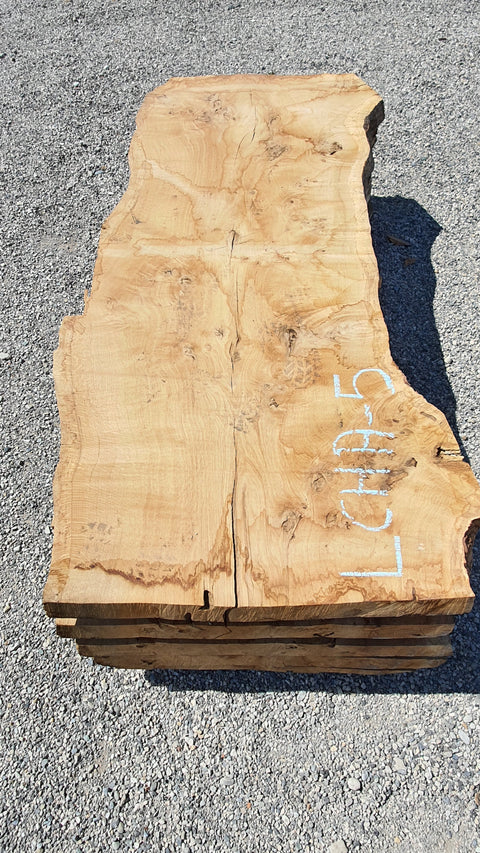 Chêne américain loupe - LCHA 5 - Mon plateau de bois