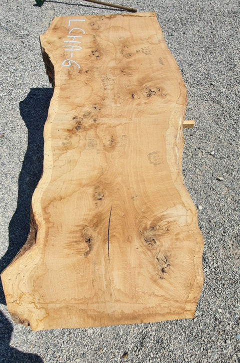 Chêne américain loupe - LCHA 6 - Mon plateau de bois