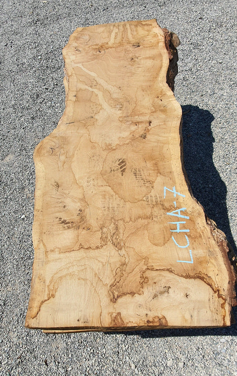 Chêne américain loupe - LCHA 7 - Mon plateau de bois