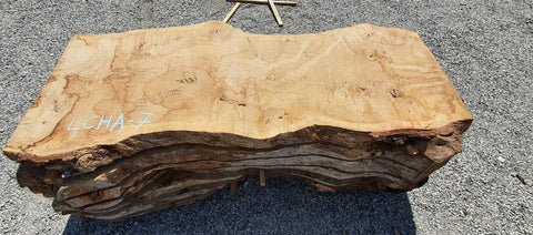 Chêne américain loupe - LCHA 7 - Mon plateau de bois