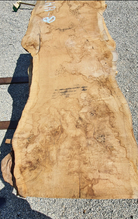 Chêne américain loupe - LCHA 8 - Mon plateau de bois