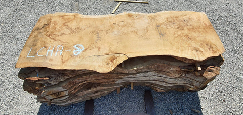 Chêne américain loupe - LCHA 8 - Mon plateau de bois