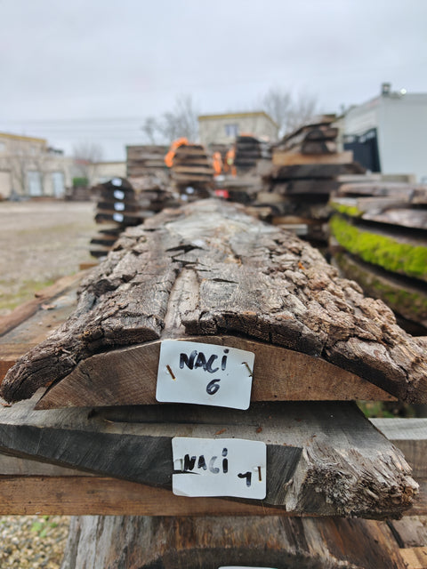 PLOT - NACI - Noyer américain Claro - 2 plateaux