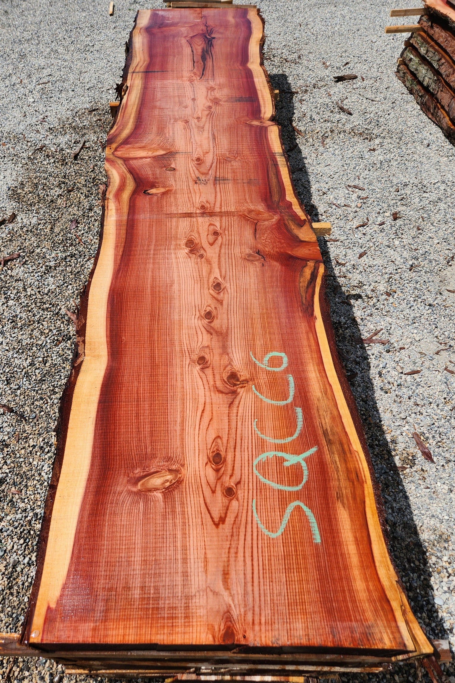 Séquoia de Californie Mon plateau de bois