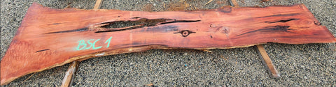 Séquoia de Californie - BSC 1 - Mon plateau de bois