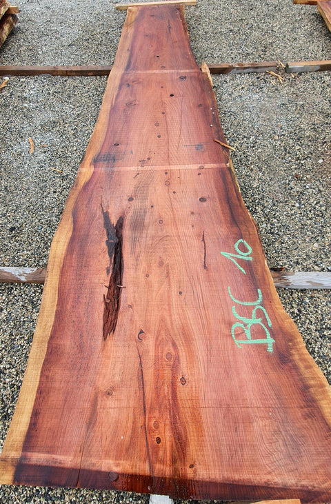 Séquoia de Californie - BSC 10 - Mon plateau de bois