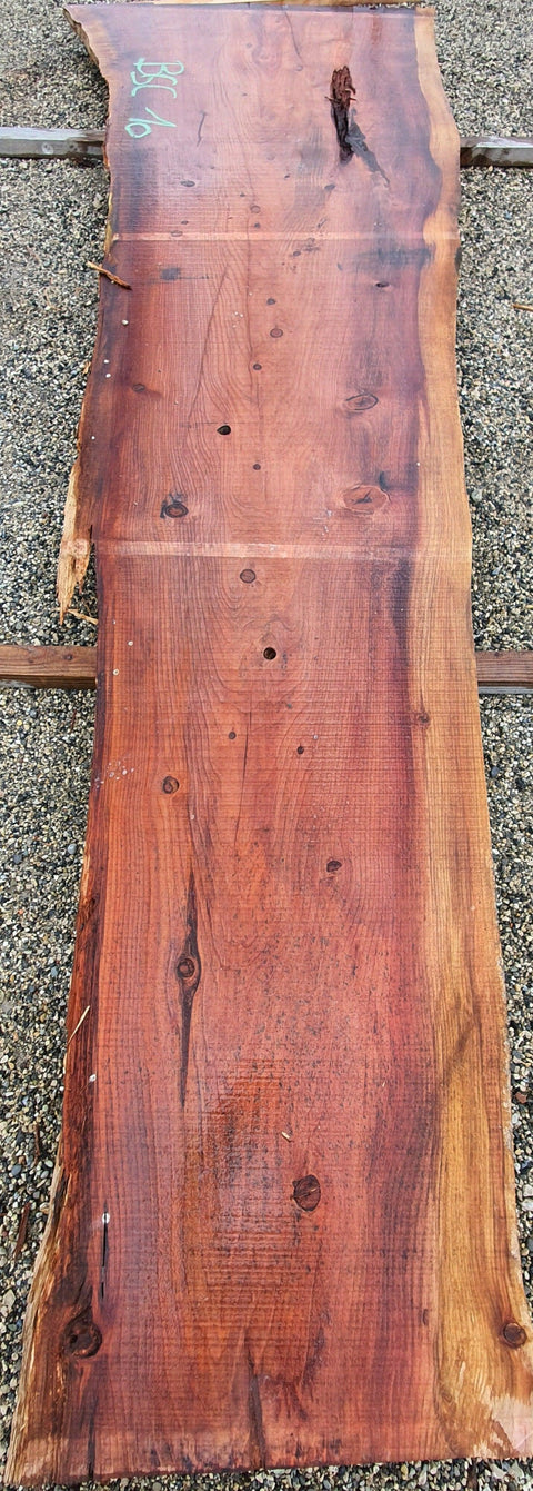 Séquoia de Californie - BSC 10 - Mon plateau de bois