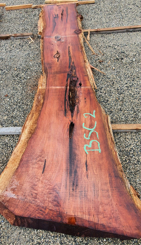 Séquoia de Californie - BSC 2 - Mon plateau de bois