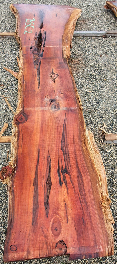 Séquoia de Californie - BSC 2 - Mon plateau de bois