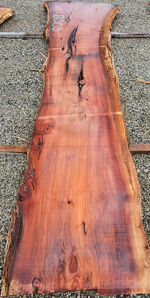 Séquoia de Californie - BSC 3 - Mon plateau de bois