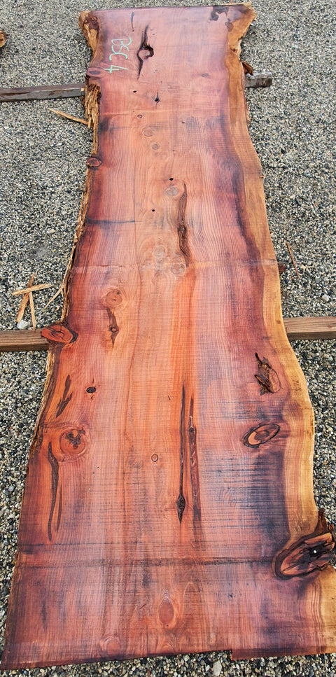 Séquoia de Californie - BSC 4 - Mon plateau de bois