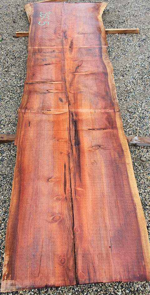 Séquoia de Californie - BSC 5 - Mon plateau de bois