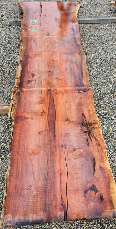 Séquoia de Californie - BSC 7 - Mon plateau de bois