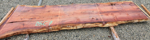 Séquoia de Californie - BSC 7 - Mon plateau de bois