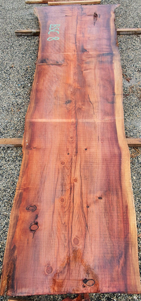 Séquoia de Californie - BSC 8 - Mon plateau de bois