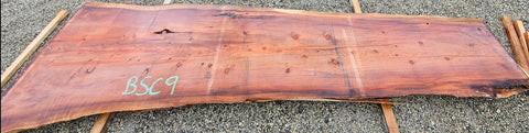 Séquoia de Californie - BSC 9 - Mon plateau de bois
