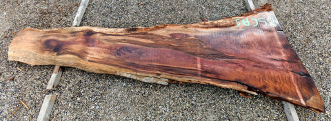 Séquoia de Californie - BSCA 1 - Mon plateau de bois