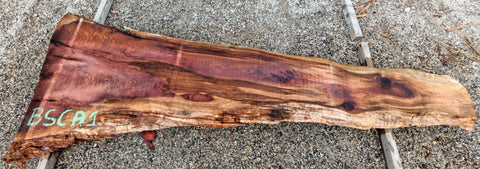 Séquoia de Californie - BSCA 1 - Mon plateau de bois