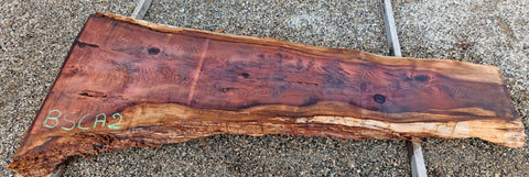 Séquoia de Californie - BSCA 2 - Mon plateau de bois