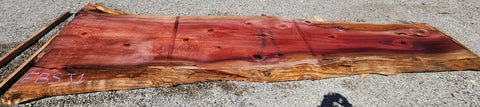 Séquoia de Californie - FBSJ 1 - Mon plateau de bois