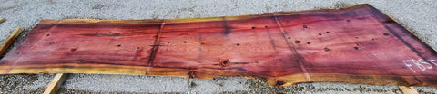 Séquoia de Californie - FBSJ 10 - Mon plateau de bois