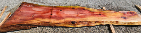 Séquoia de Californie - FBSJ 11 - Mon plateau de bois