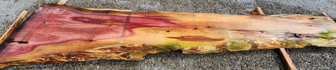 Séquoia de Californie - FBSJ 12 - Mon plateau de bois