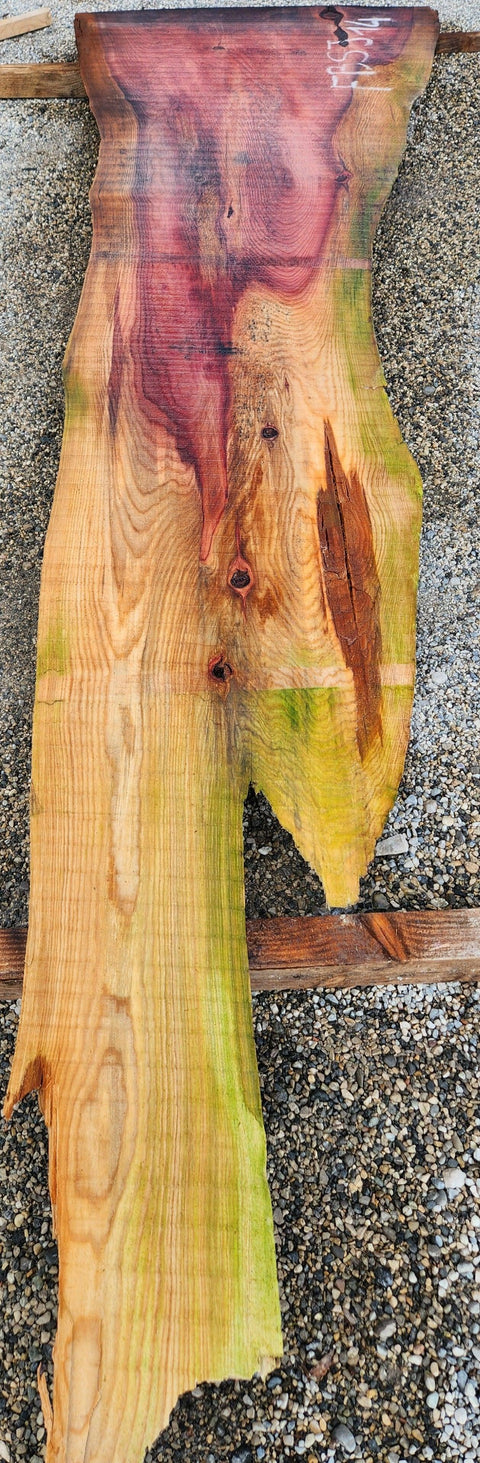 Séquoia de Californie - FBSJ 14 - Mon plateau de bois